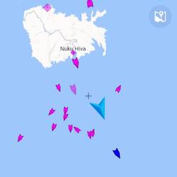 Capture d'écran de MarineTrafic sur mon téléphone, montrant tous les bateaux qui fuient la baie