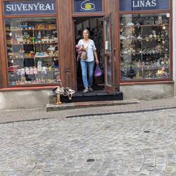 Am shoppen