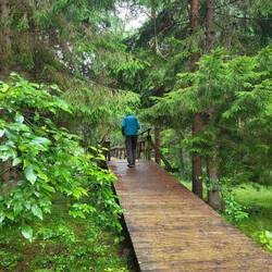 Die Brücke führt uns über das Flüsschen Mazirbe.