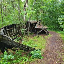 Das Boot liegt schon seit fast 50 Jahren im Wald.