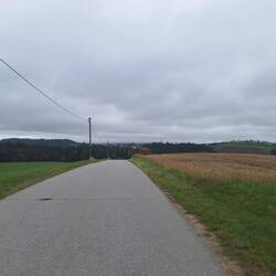 Niemandsland