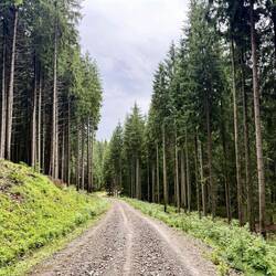 während dem Abstieg nach Sadova