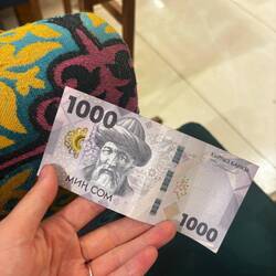 Lokale Währung (Som)