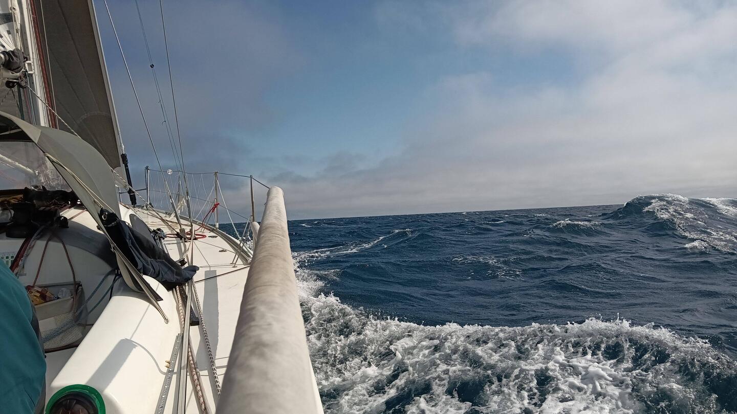 Bei achterlichem Wind kommt unsere BUTTERFLY 🦋⛵ über die Wellen ins surfen