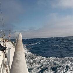 Bei achterlichem Wind kommt unsere BUTTERFLY 🦋⛵ über die Wellen ins surfen