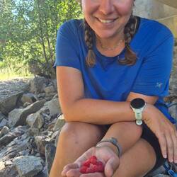 3 kg Beeren am Tag sollten ausreichen für den Tagesbedarf