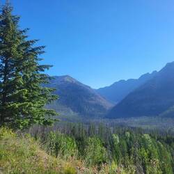 Montana so wie wir es uns wünschen: grün und mit Aussicht