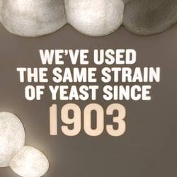 Wow! What a long time....