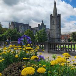 St. Patrick's Cathedral