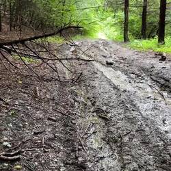 Der Wanderweg