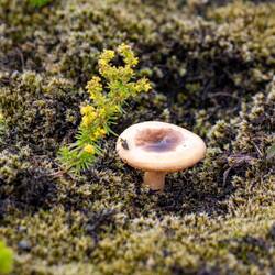 Wir haben sie stehen lassen 😉