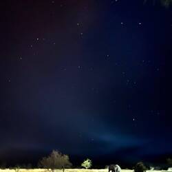 Beautiful sky with elaphant in our garden