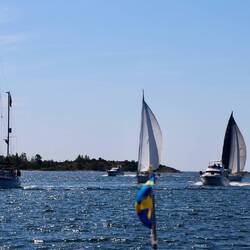 Und manchmal kommen alle auf einmal.