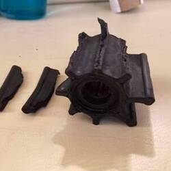 Impeller mort ... remarquez carrément les aubes en caoutchouc qui ont été arrachées