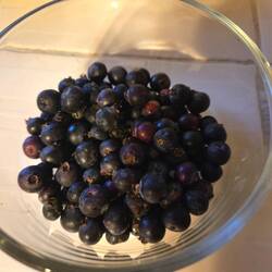 Schmecken ähnlich wie unsere schwarzen Johannisbeeren und seeehr gesund, 😁