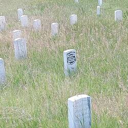 Last Stand Hill, die Steine stehen da wo die Soldaten angeblich gefallen sind. Siehe Custer=markiert