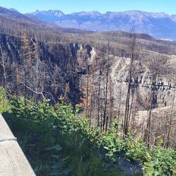 Leider nicht viel zu sehen, da der Trail gesperrt ist