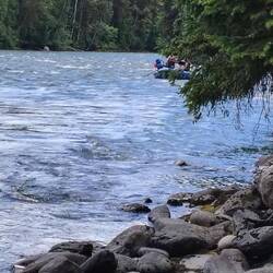 Sieht harmlos aus, ist es jedoch nicht