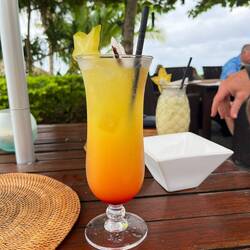 Cocktail of the day