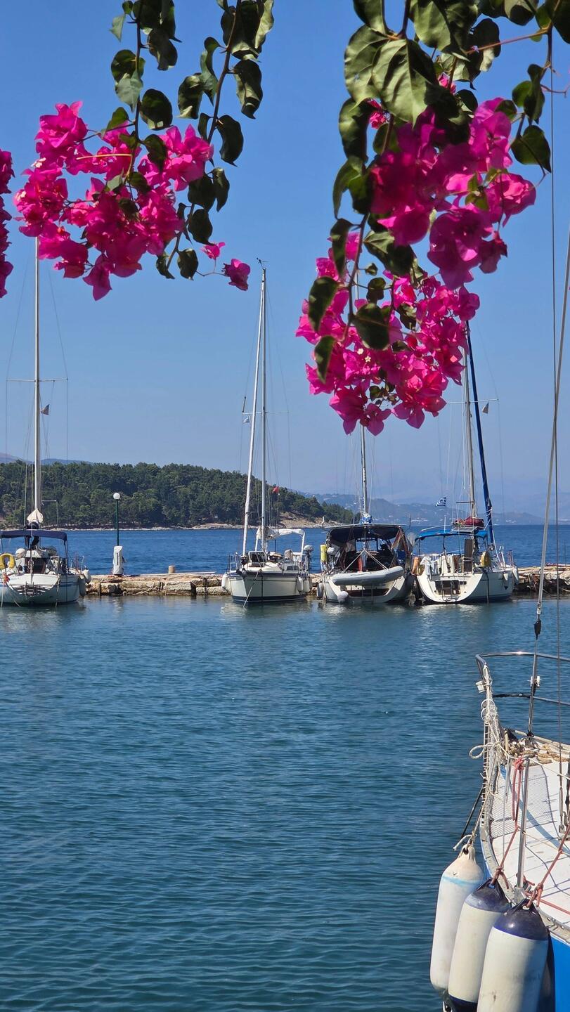 Hafen in Kerkyra 🌺