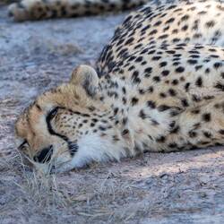 Und chillen