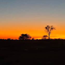 Sonnenaufgang Africa Style