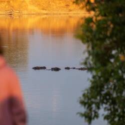 Abendstimmung und Besuch im Camp...