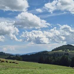 Der Himmel ist blau mit ein paar Wolken