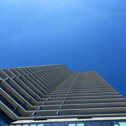 Looking up from the sundeck of the Elser Hotel