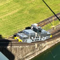 The mules that guide ships through the canal