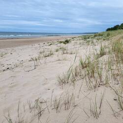 Den Strand haben wir wieder für uns allein!
