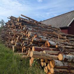 Holz wird natürlich auch an jeder Ecke gemacht