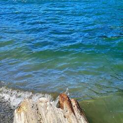 Duffey Lake