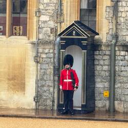 Yes these guys are here too