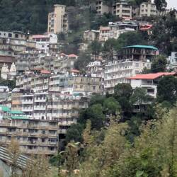 Shimla nur am Hang