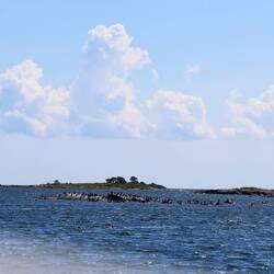 Und ist der Stein noch so klein, Vögel haben immer Platz.