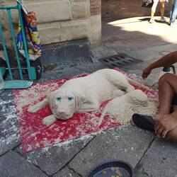 Ratet mal, wer den Sandhund anpöpeln musste. 😇