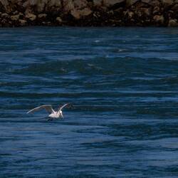 Abendessen erfolgreich gefangen 👍