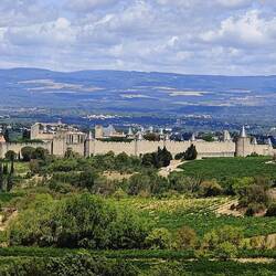 Blick auf die Cité de Carcassone
