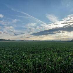 Zu meiner Rechten das Zentralmassiv