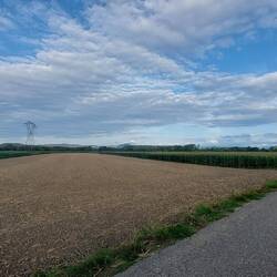 Zu meiner Linken der Kaiserstuhl