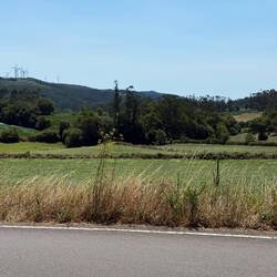 Lots of roadside walking