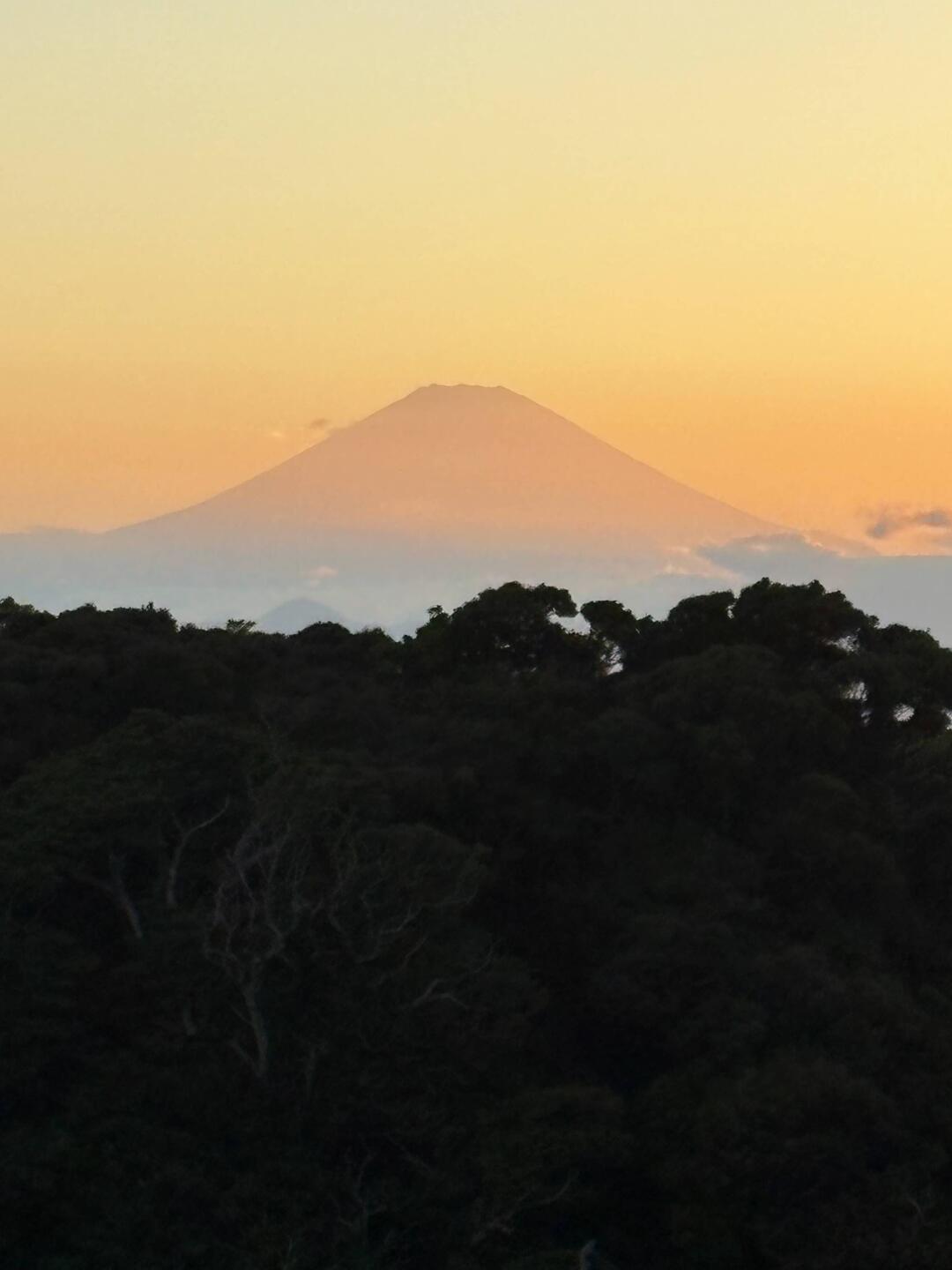 Views of Fuji at sunset from the island were spectacular every night.