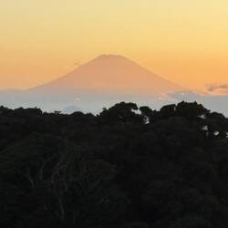 Views of Fuji at sunset from the island were spectacular every night.