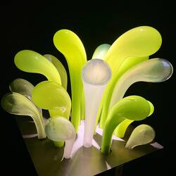 Schnell, tötet es mit Feuer, bevor es Eier legt!