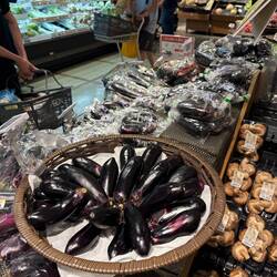 An entire island of various shaped eggplant