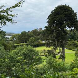 View of the castle from the woodland garden. This was a huge property!