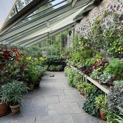 The greenhouse in the walled garden