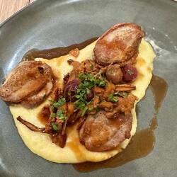 Wachtel mit Polenta und Pfifferlingen