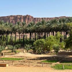 Oase Al Ula